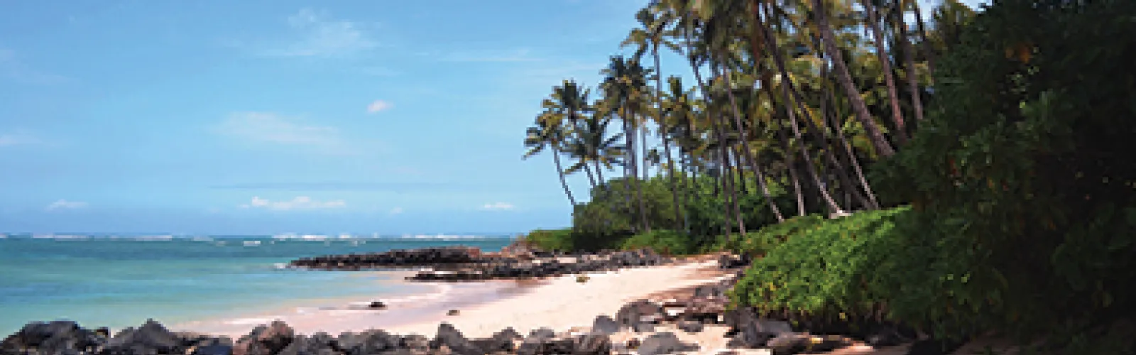 a Hawaiian beach and shoreline is shown 